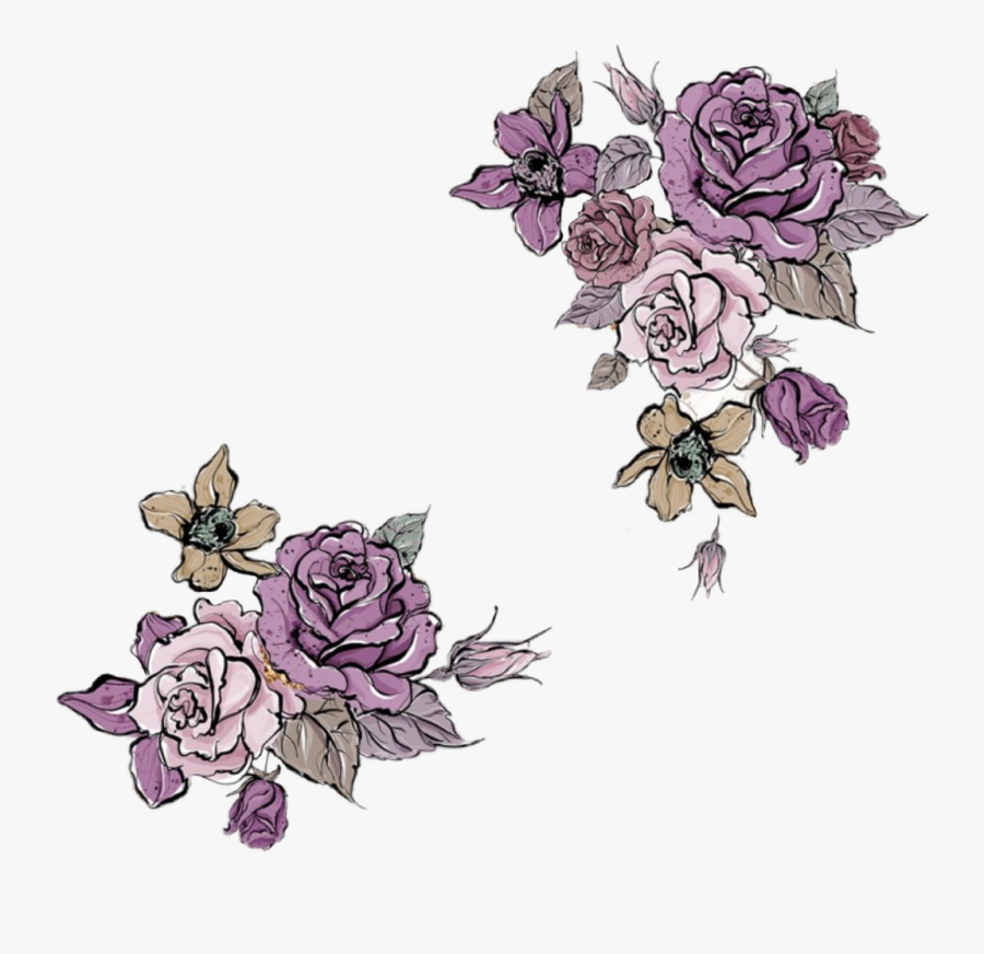 Garden Roses, Transparent Clipart