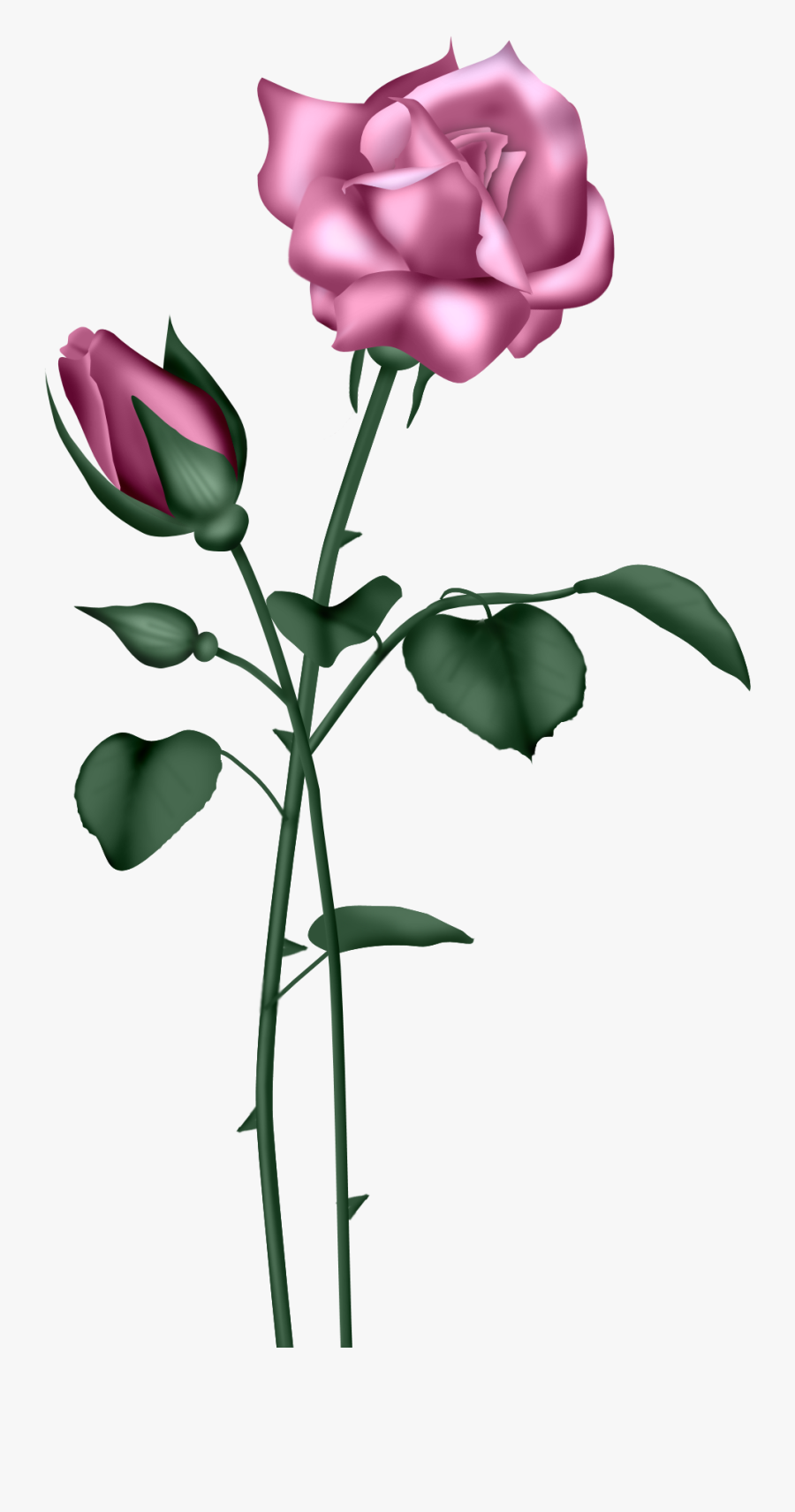 Transparent Gold Rose Clipart - Light Blue Rose Transparent, Transparent Clipart