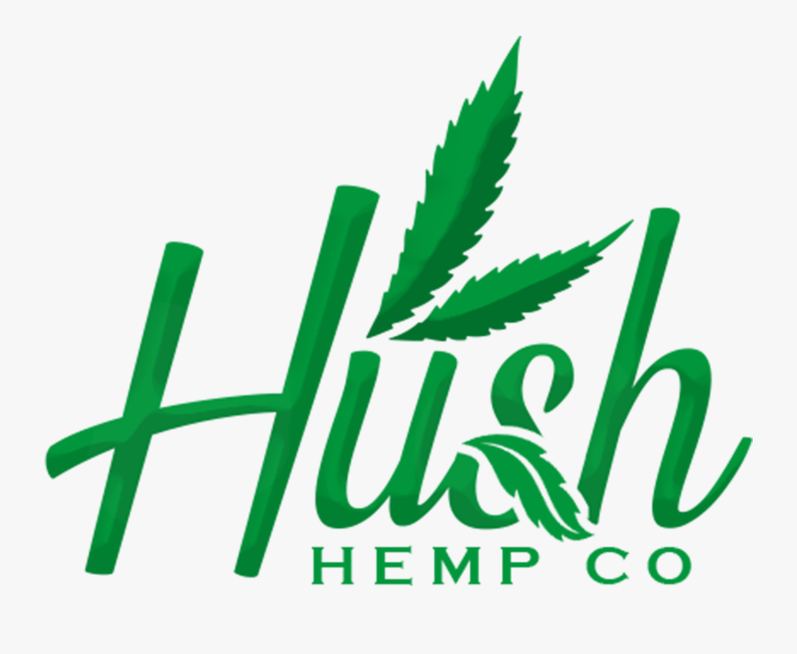 Graphic Design, Transparent Clipart