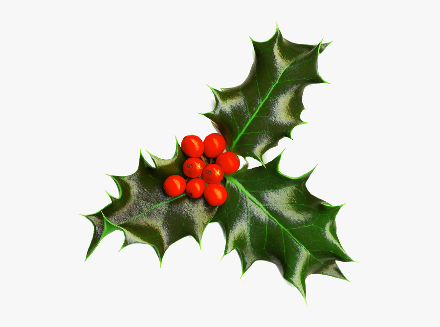 Image Christmas Seasonal Portable - Christmas Holly Transparent Background, Transparent Clipart