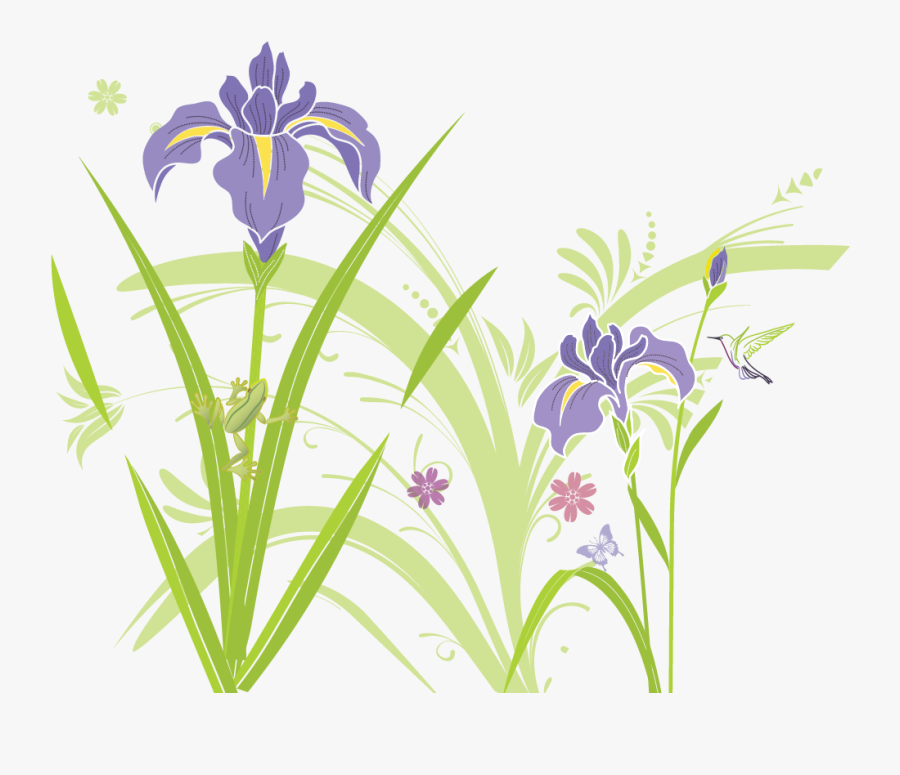 June Clipart Plant Sale - Iris Versicolor, Transparent Clipart