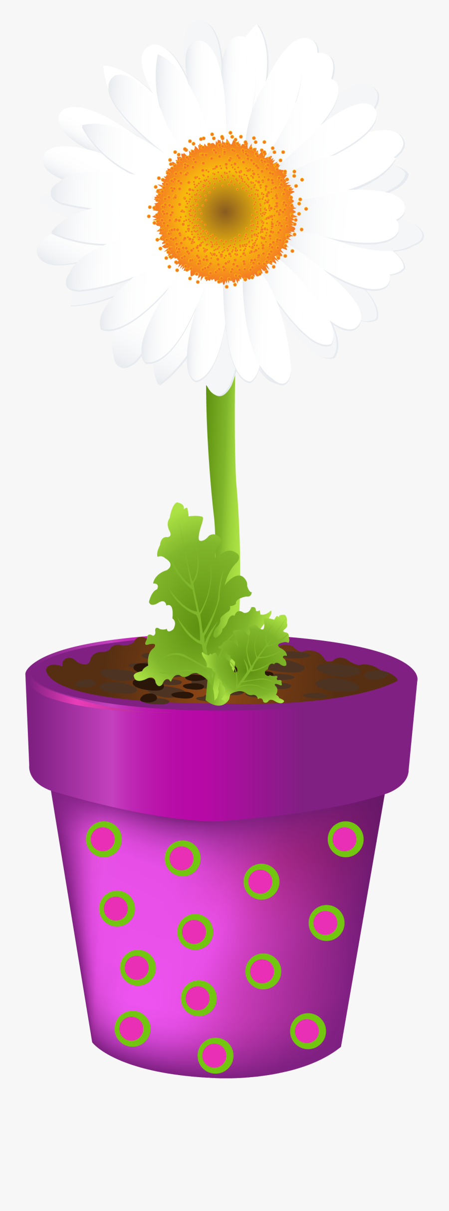 Clip Art, Transparent Clipart