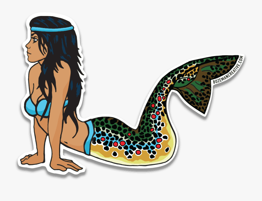 Bozeman Creative Mertrout Brown Trout - Illustration, Transparent Clipart