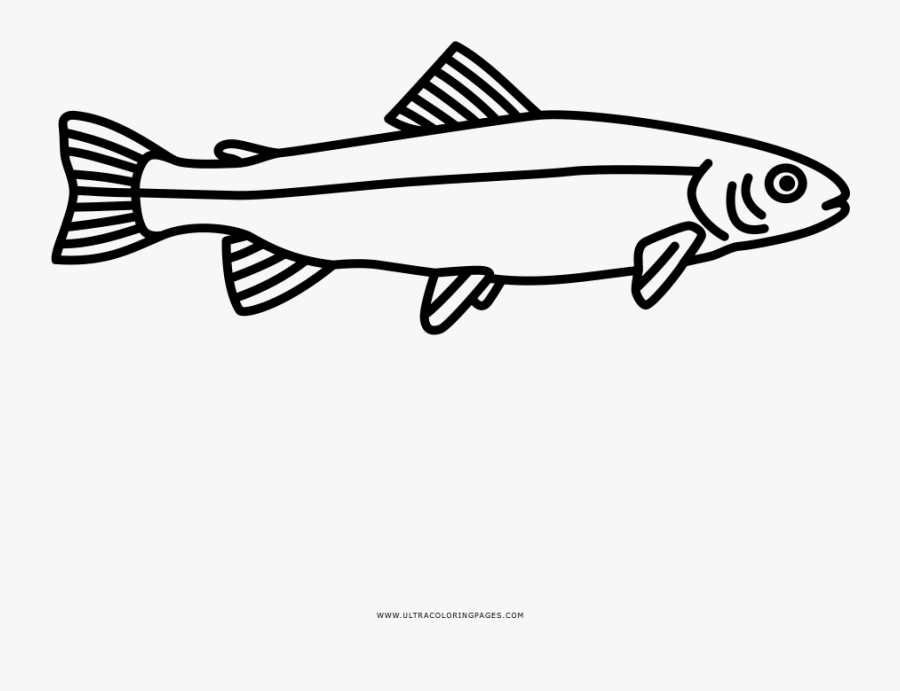 Dibujo Trucha Para Pintar, Transparent Clipart