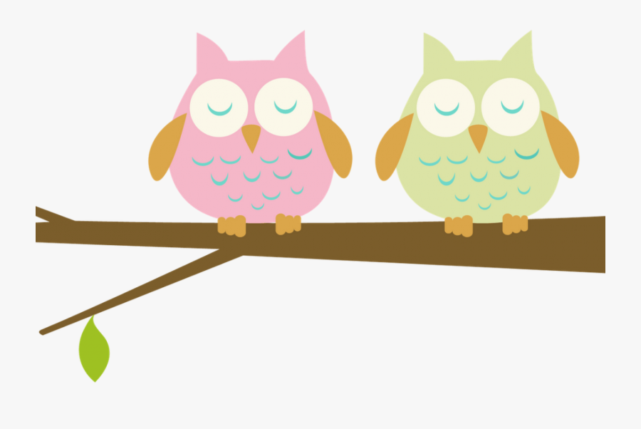 10 Things I Wish Someone Would Have Told Me About Teaching - Baby Owl Clipart, Transparent Clipart