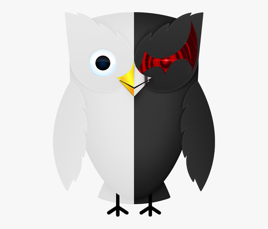 Owl, Transparent Clipart