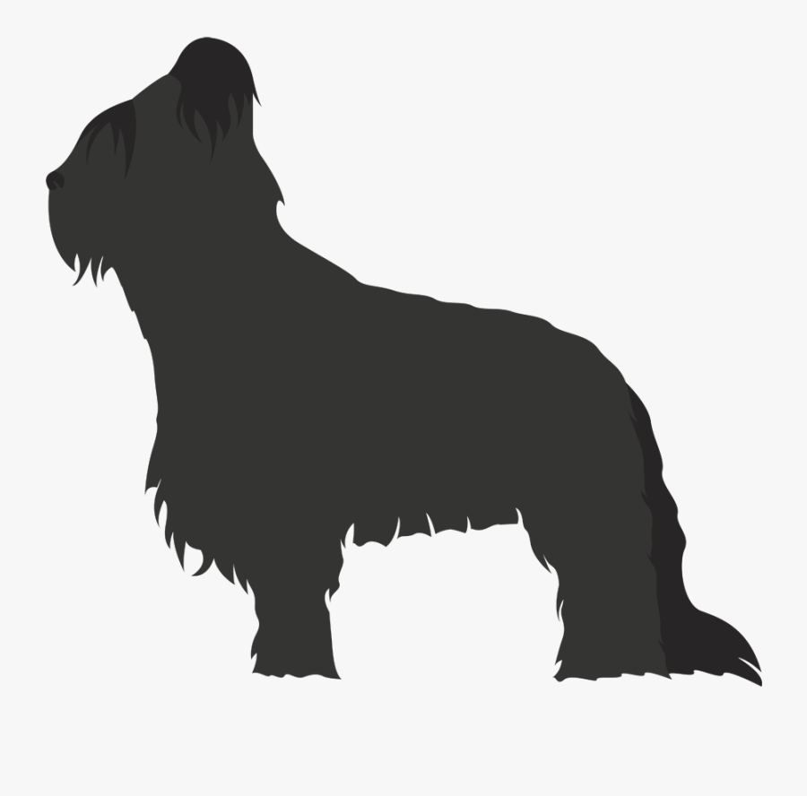 Scottish Terrier Non-sporting Group Briard Dog Breed - Dog Breed, Transparent Clipart