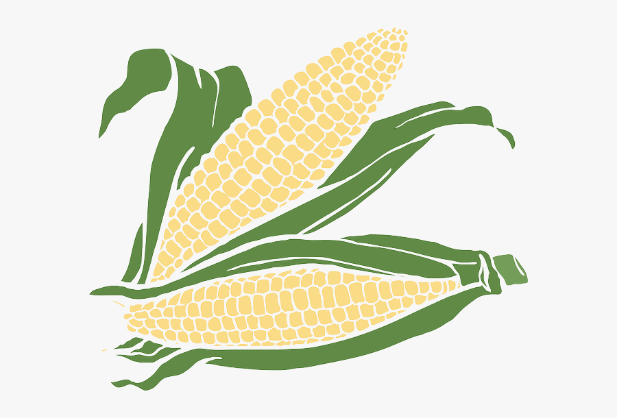 White Corn Clipart, Transparent Clipart