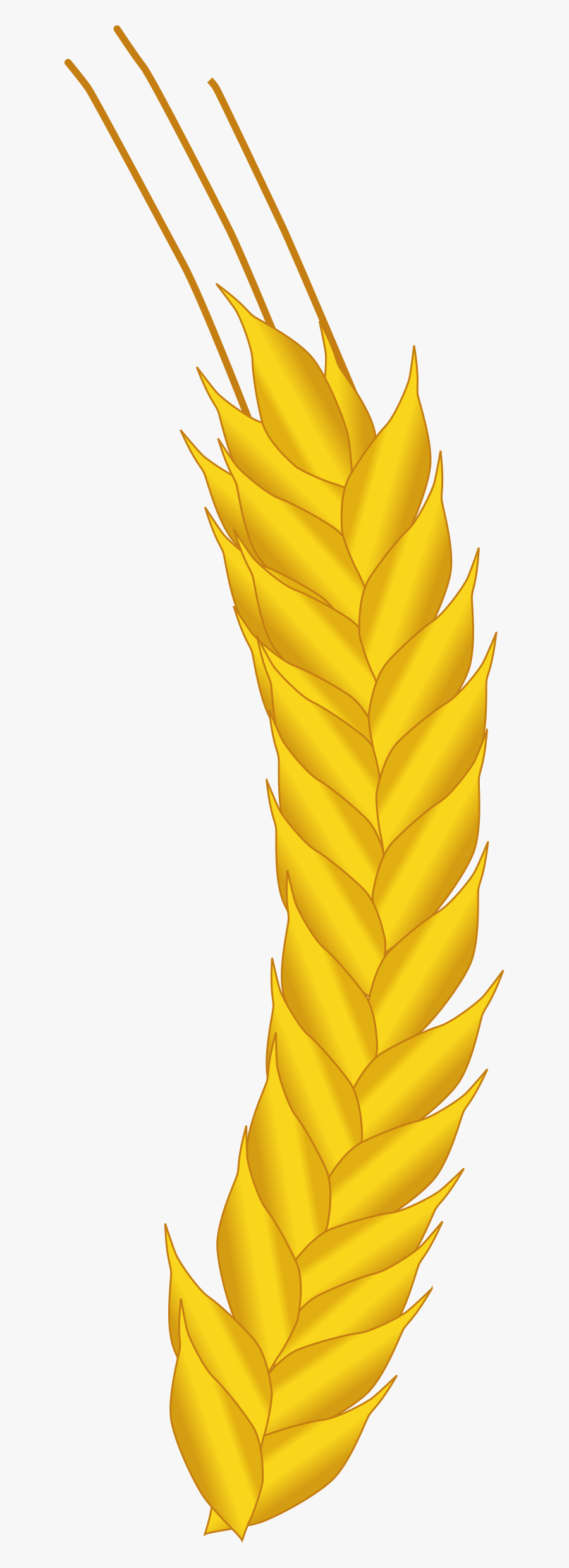 Ear Of Corn Clip Arts - Corn Ear Icon, Transparent Clipart