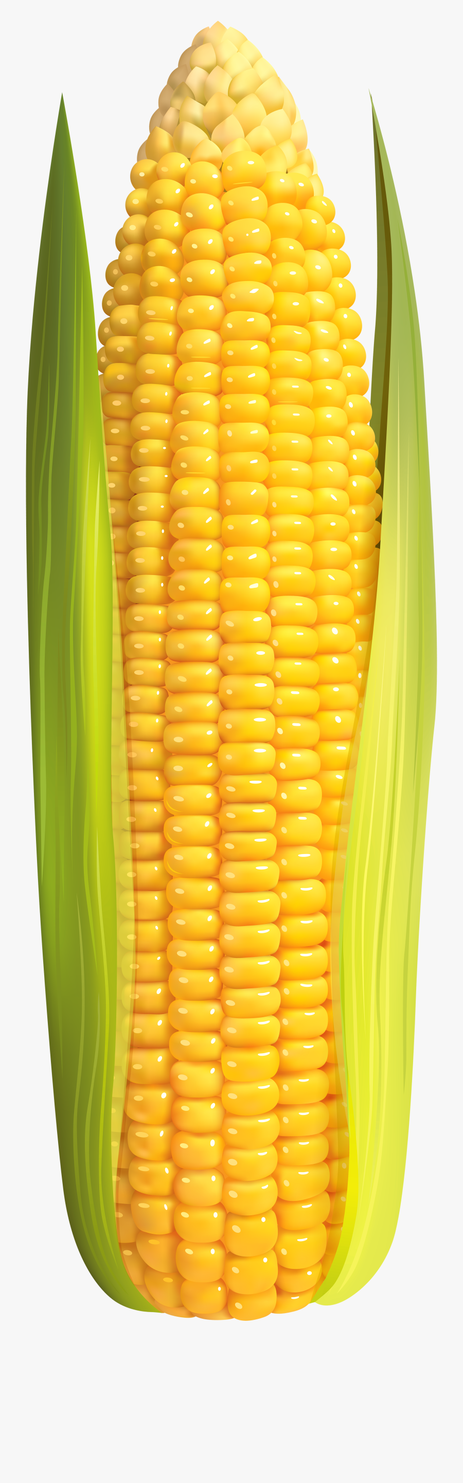 Clip Art Image Gallery Transparent Background - Corn On The Cob Png, Transparent Clipart