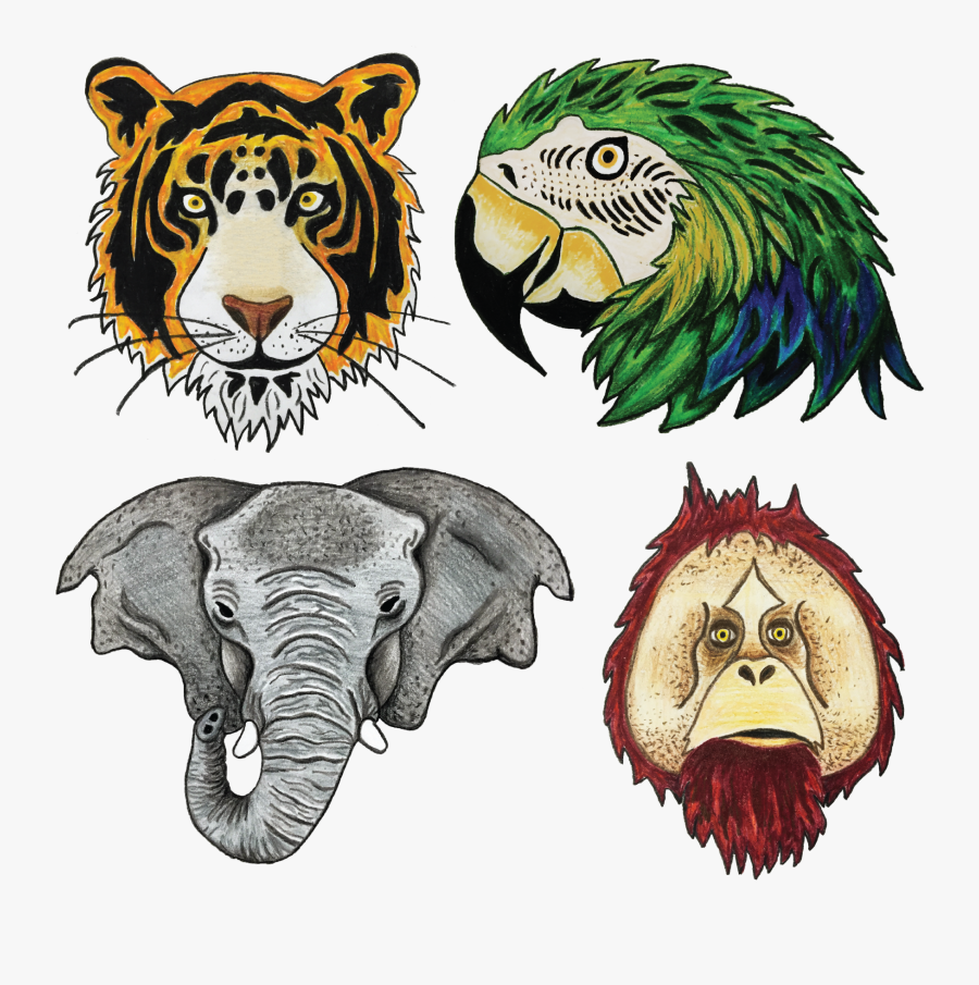 The Animals Were Drawn Out With Colored Pencil, And, Transparent Clipart