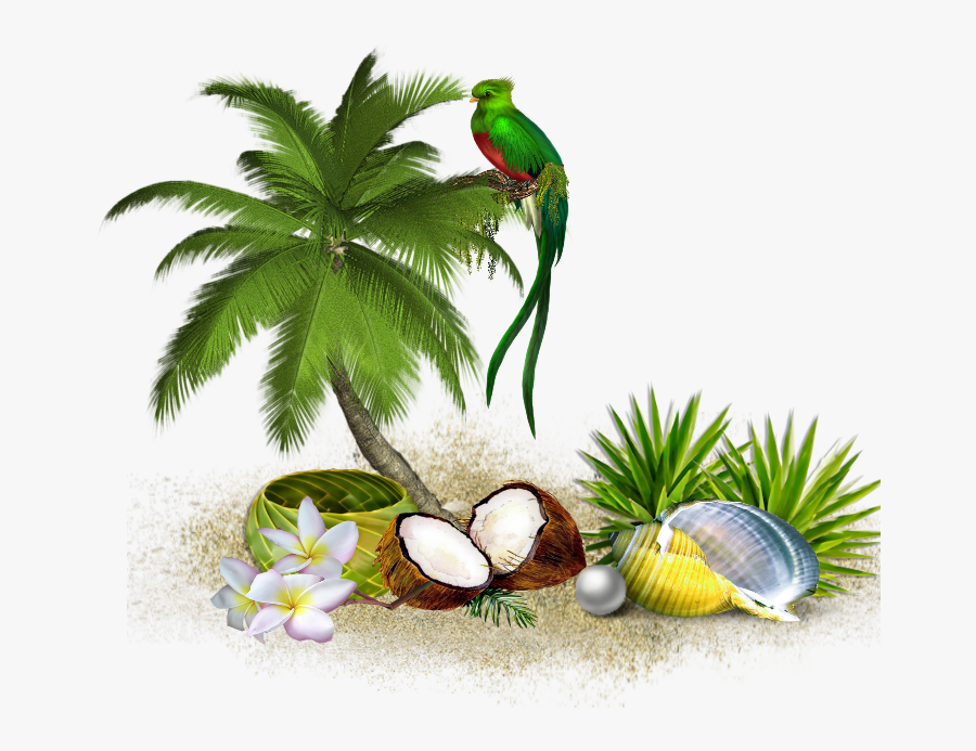 Hammock Clipart Spring Break - High Definition Palm Tree Png, Transparent Clipart