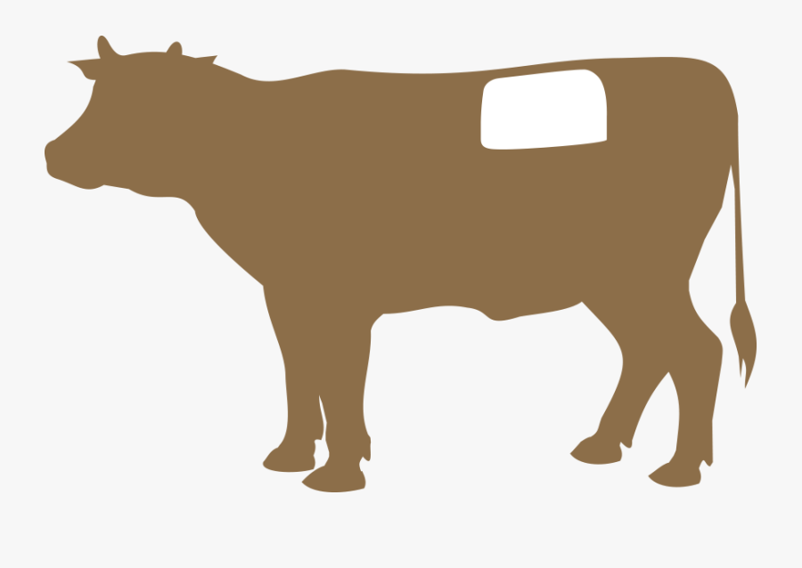 T-bone Steak Clipart , Png Download - Coupes De Boeuf, Transparent Clipart
