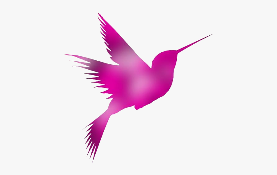 Hummingbird Png, Transparent Hummingbird Clipart - Hummingbird, Transparent Clipart