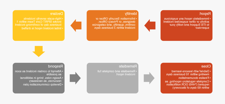 Dogma Central Da Biologia Molecular, Transparent Clipart