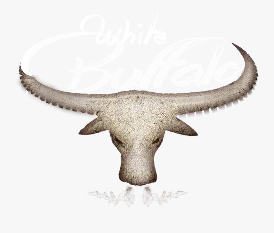 Water Buffalo Png - Water Buffalo, Transparent Clipart