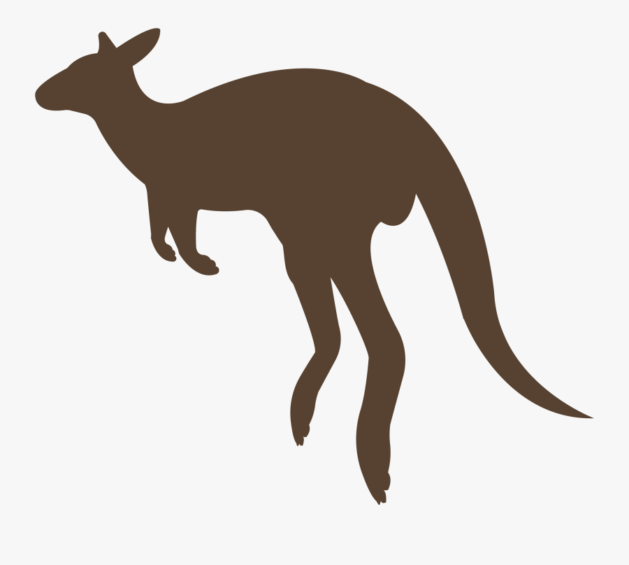 Kangaroo, Transparent Clipart