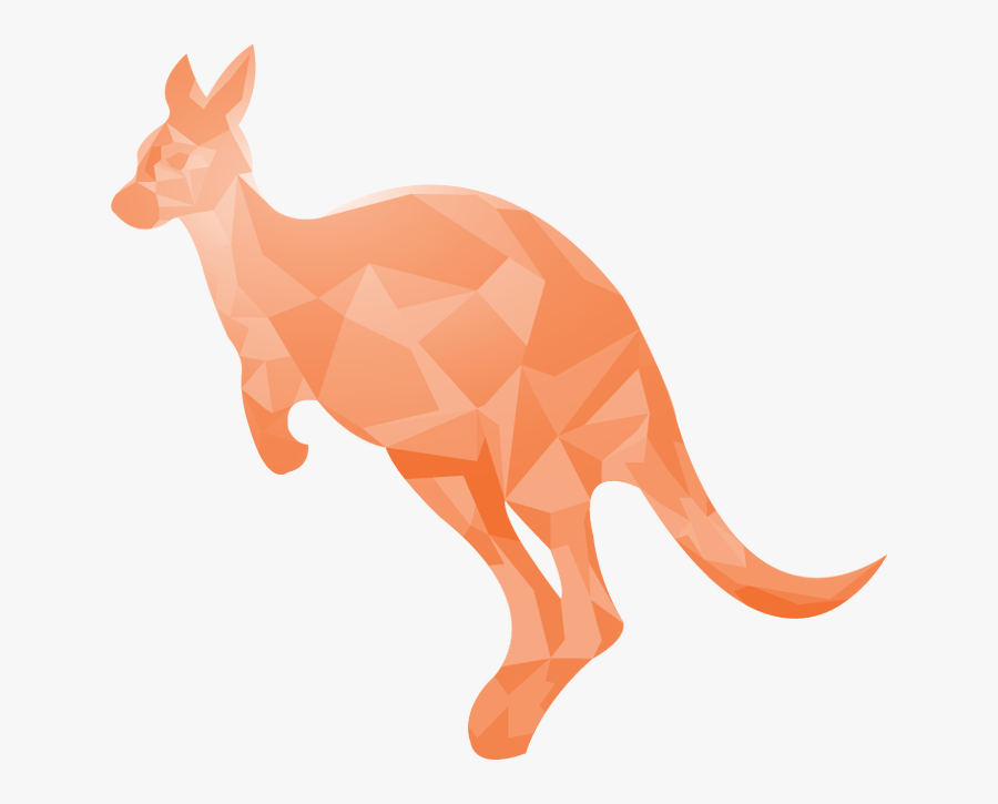Charlotte Marini Re Illustrator - Kangaroo, Transparent Clipart