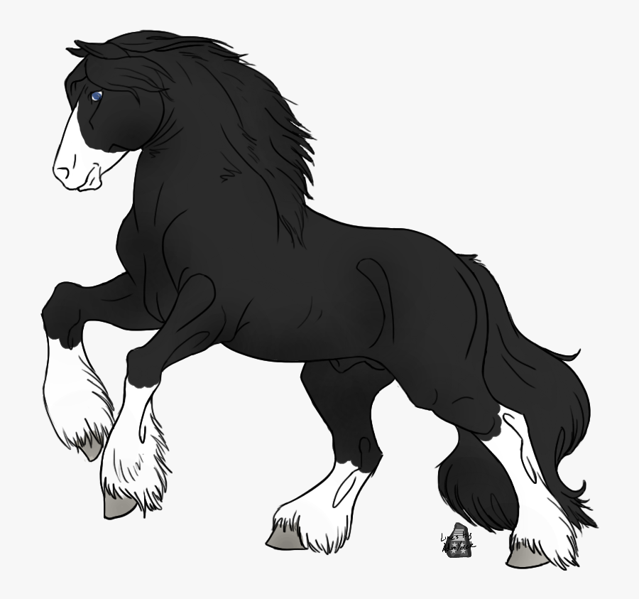 Stallion Drawing Gypsy Vanner Horse Huge Freebie Download - Gypsy Vanner Head Drawing, Transparent Clipart