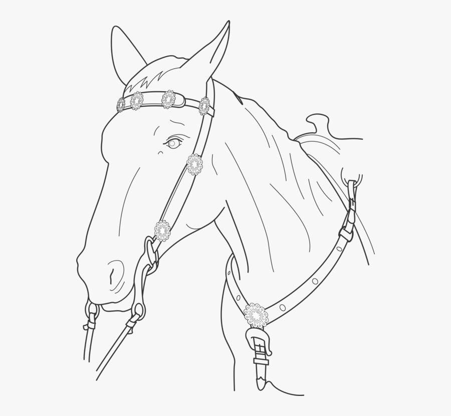 Horse Tack,horse Supplies,figure Drawing - War That Saved My Life Drawings, Transparent Clipart