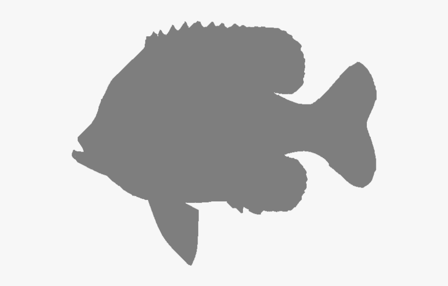 Silhouette Bluegill Clip Art Image - Silhouette Of A Bluegill, Transparent Clipart