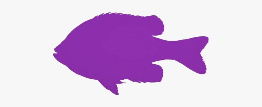 Transparent Colorful Bluegill Art Clipart - Sole, Transparent Clipart