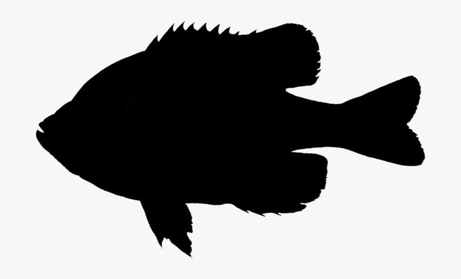 Transparent Colorful Bluegill Fishing Clipart - Fish Svg, Transparent Clipart