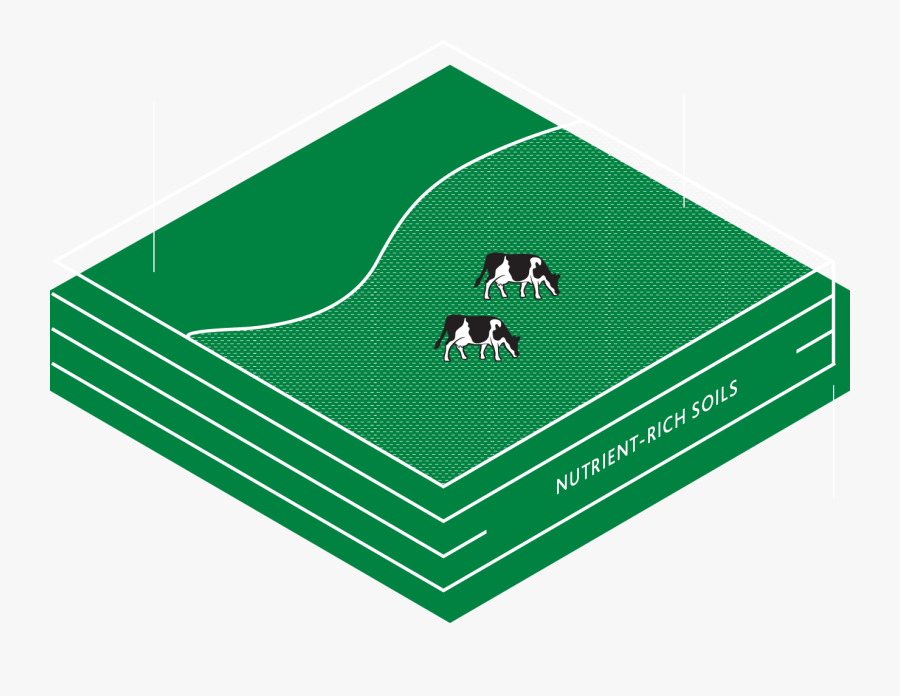 Graphic Design, Transparent Clipart