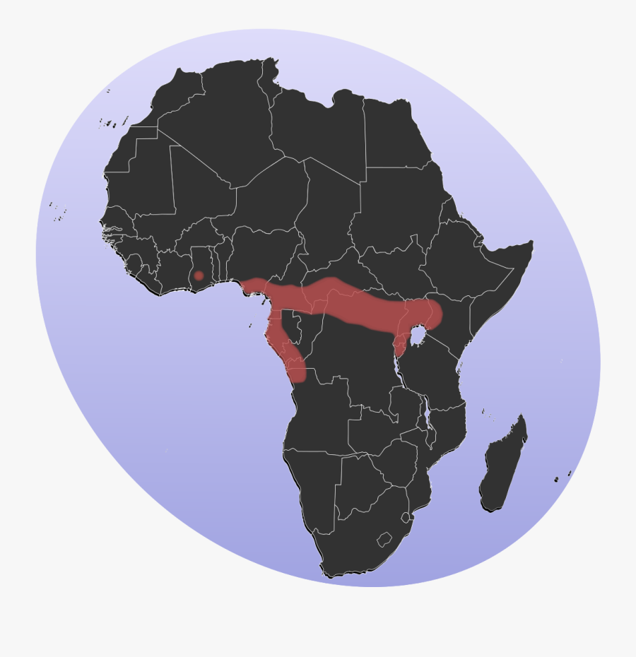 File P Gold S - Union Africaine Pays Membres, Transparent Clipart