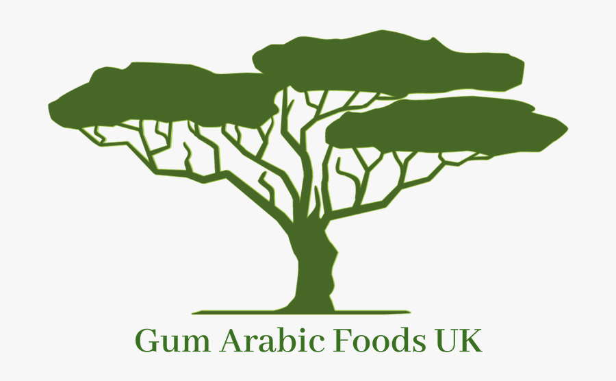 Acacia Tree Clipart - 사바나 일러스트, Transparent Clipart