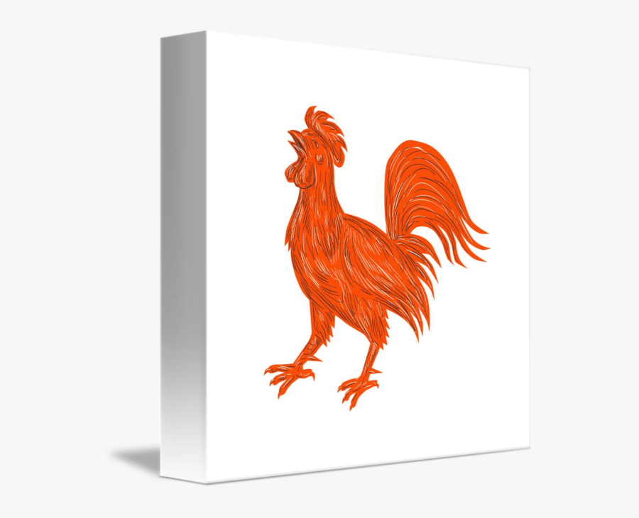 Transparent Chicken Face Clipart - Rooster, Transparent Clipart