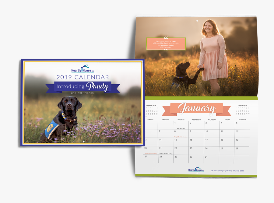 Transparent German Shorthaired Pointer Clipart - German Shorthaired Pointer, Transparent Clipart