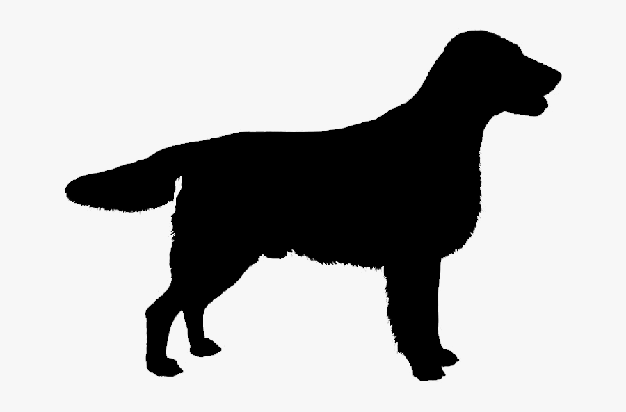 English Springer Spaniel English Cocker Spaniel Dachshund - English Springer Spaniel Silhouette, Transparent Clipart