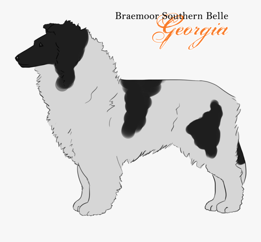 English Springer Spaniel Drentse Patrijshond Stabyhoun - Companion Dog, Transparent Clipart