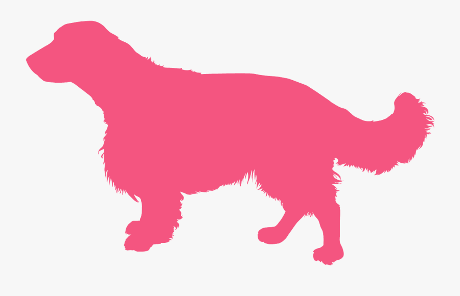 Cat, Transparent Clipart