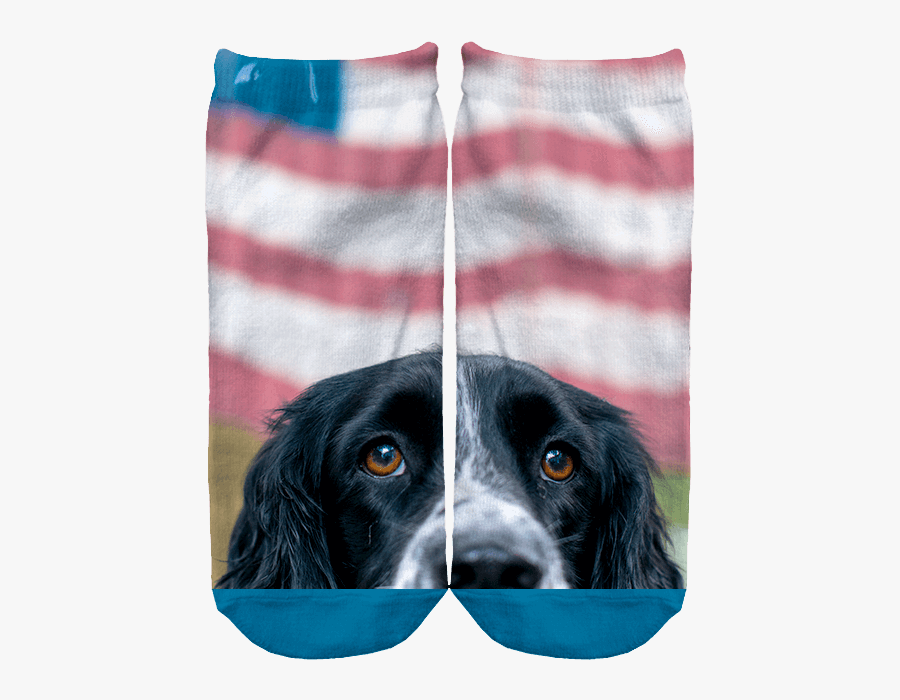 Cocker Spaniel, Transparent Clipart