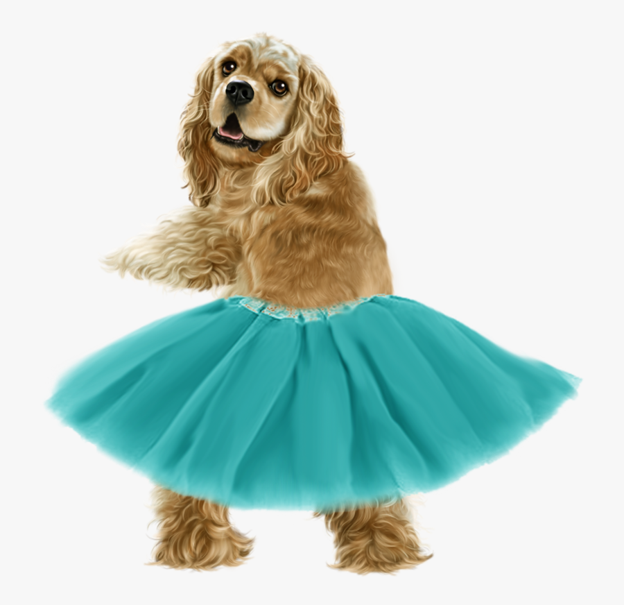 Head Clipart Cocker Spaniel - English Cocker Spaniel Golden, Transparent Clipart