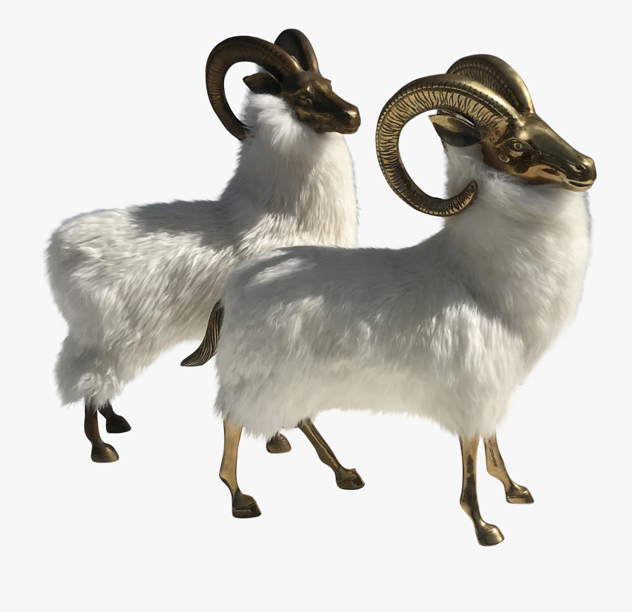 Clip Art Superior Pair Of Brass - Dall's Sheep, Transparent Clipart