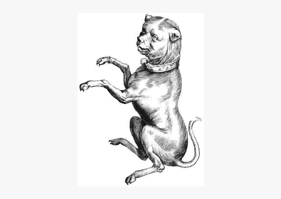 Dog, Transparent Clipart