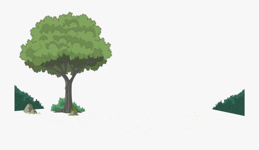 Download Plymouth Ma Tree - Tree Backyard Png, Transparent Clipart