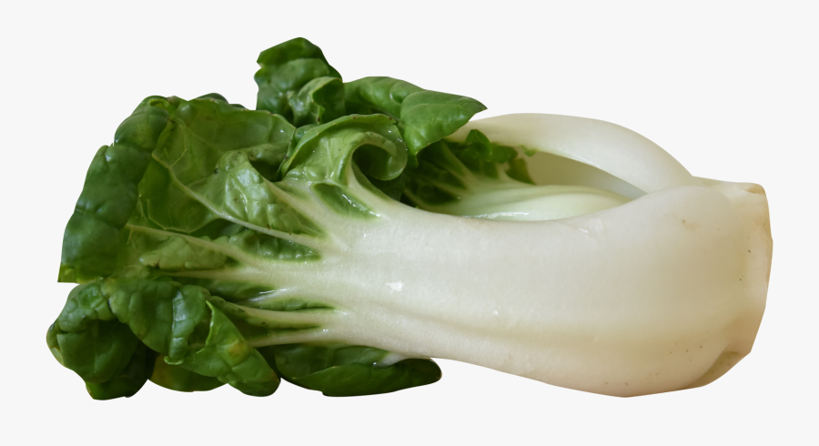 Bok Choy Png Hd - Bok Choy Transparent, Transparent Clipart