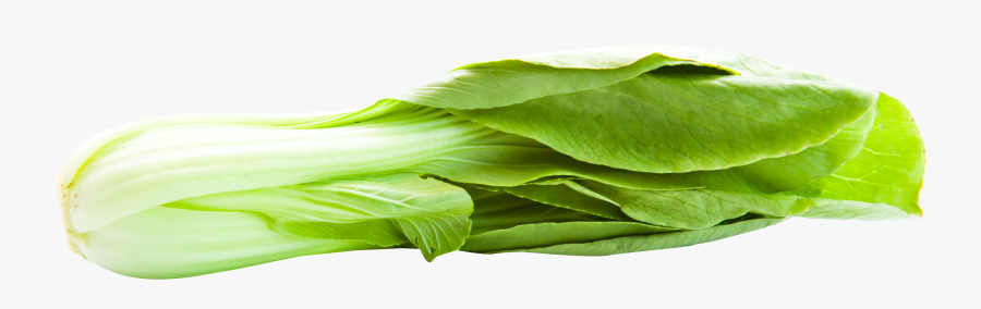 Bok Choy Transparent Background - Bok Choy Png, Transparent Clipart