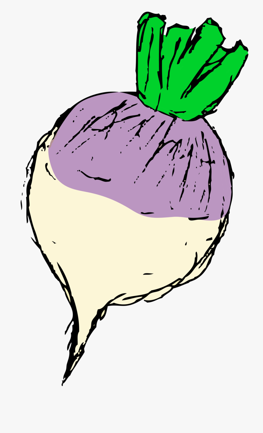 Vegetables Clipart Bok Choy - Clip Art, Transparent Clipart