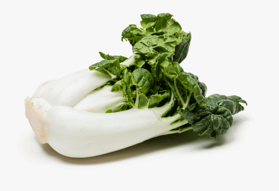 Cruciferous-vegetables - Shanghai Bok Choy, Transparent Clipart