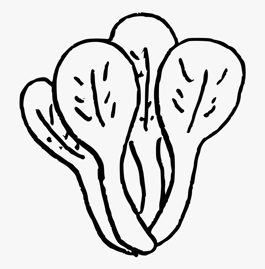 Line Art , Png Download - Line Art, Transparent Clipart