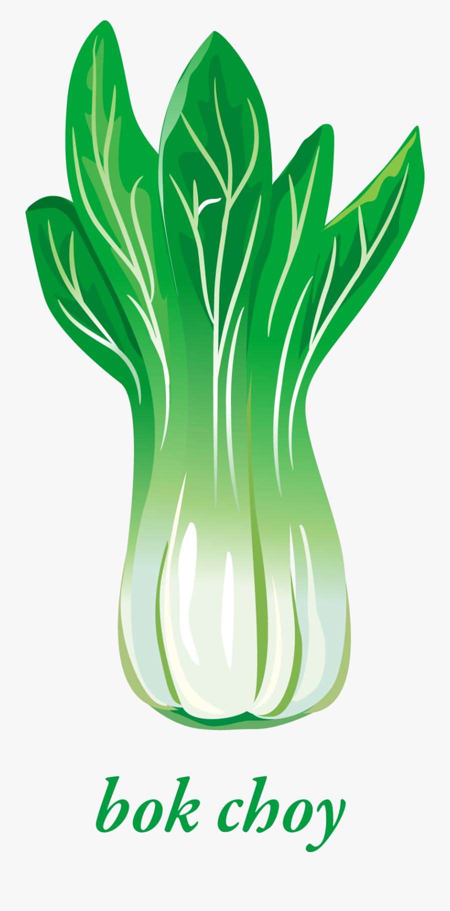 Cây Cải Bắp Vector, Transparent Clipart