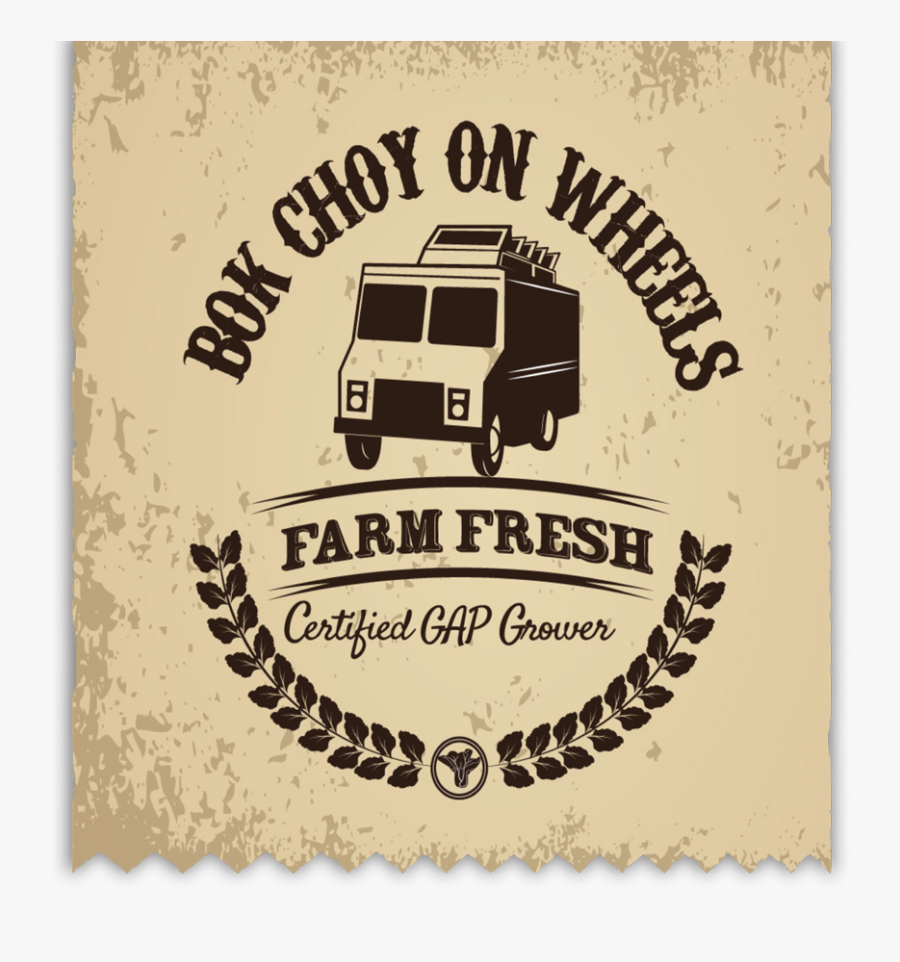 Vector Graphics, Transparent Clipart