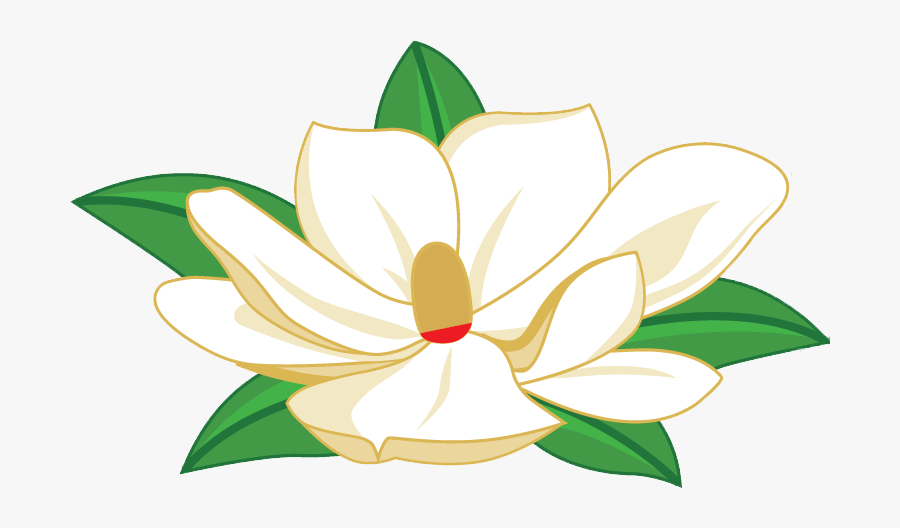Magnolia Clipart Lotus, Transparent Clipart