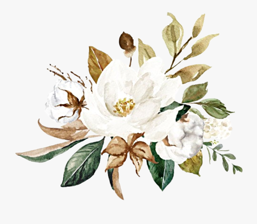 #watercolor #flowers #floral #bouquet #magnolia #cotton - Jasmine, Transparent Clipart