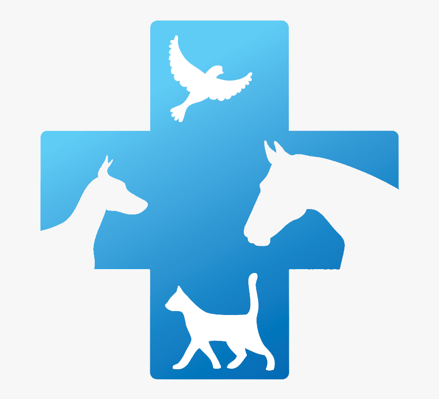 Veterinary Doctor Logo , Transparent Cartoons - Veterinary Doctor Hd Symbol, Transparent Clipart
